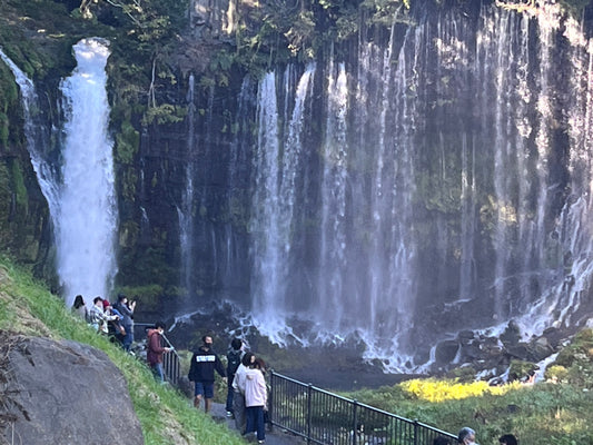Fuji Fresh: Shiraito Waterfalls